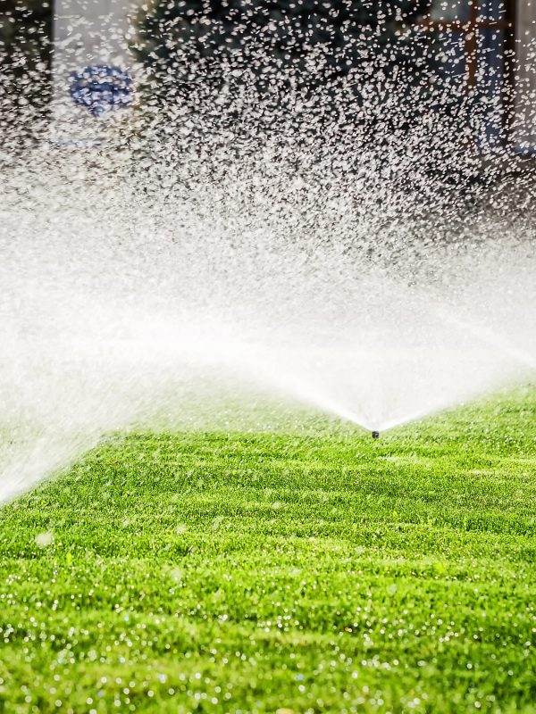 Depositphotos_193991916_XL