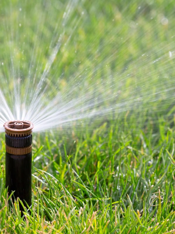 Depositphotos_39328679_XL