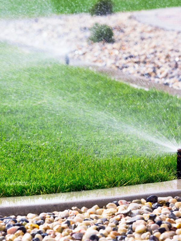 Depositphotos_42546585_XL